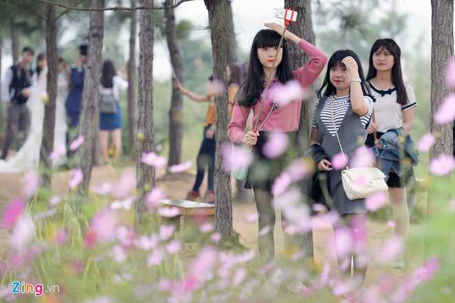 Công viên đồng nát, bãi đá sông Hồng, giới trẻ, Hà thành, Sài thành