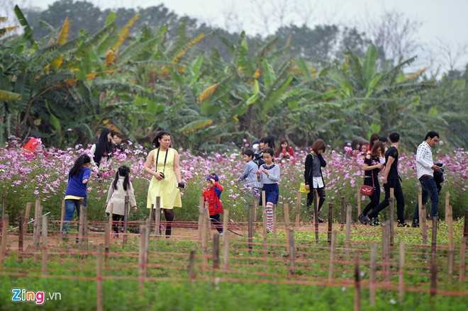 Công viên đồng nát hút giới trẻ