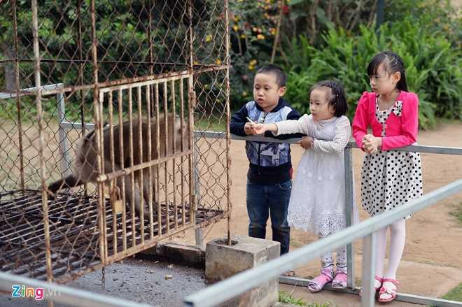 Công viên đồng nát, bãi đá sông Hồng, giới trẻ, Hà thành, Sài thành