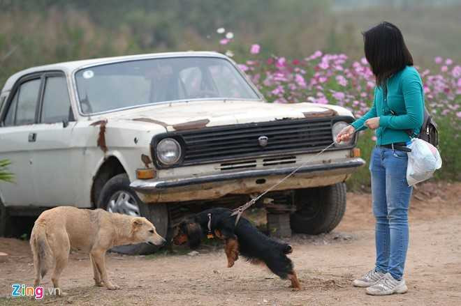 Công viên đồng nát, bãi đá sông Hồng, giới trẻ, Hà thành, Sài thành