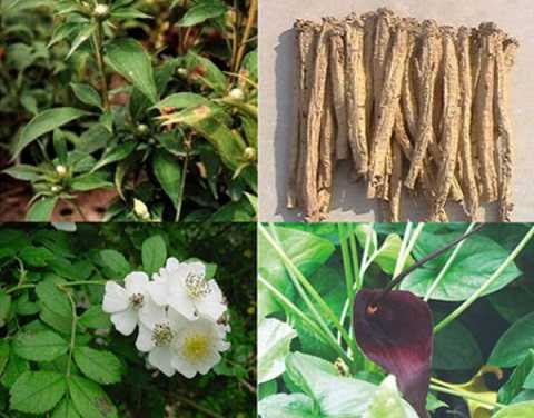 Hai năm sợ 'yêu' chồng vì lý do ngớ ngẩn