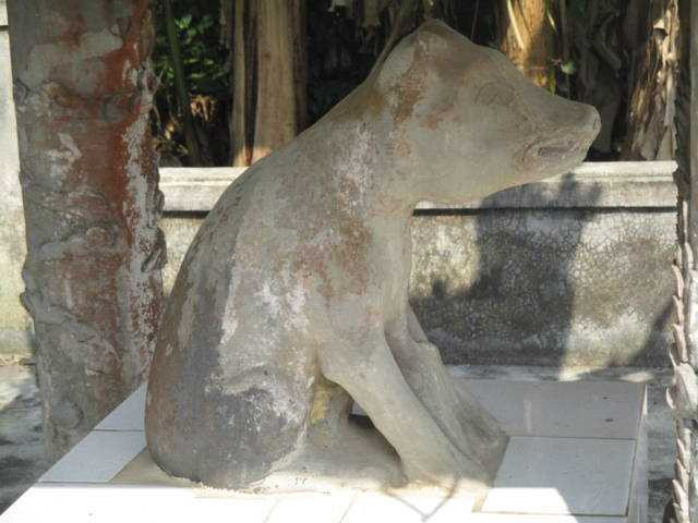 Trong mắt dân làng thần cẩu như báu vật và rất linh thiêng.