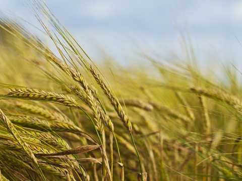 Vào những năm đầu của thập niên 90, bà đã cùng sáng lập công ty Terravera - một đơn vị chuyên sản xuất thức ăn từ thiên nhiên (đậu và ngũ cốc) và phục vụ chủ yếu cho ngành công nghiệp chăn nuôi Vào những năm đầu của thập niên 90, bà đã cùng sáng lập công ty Terravera - một đơn vị chuyên sản xuất thức ăn từ thiên nhiên (đậu và ngũ cốc) và phục vụ chủ yếu cho ngành công nghiệp chăn nuôi