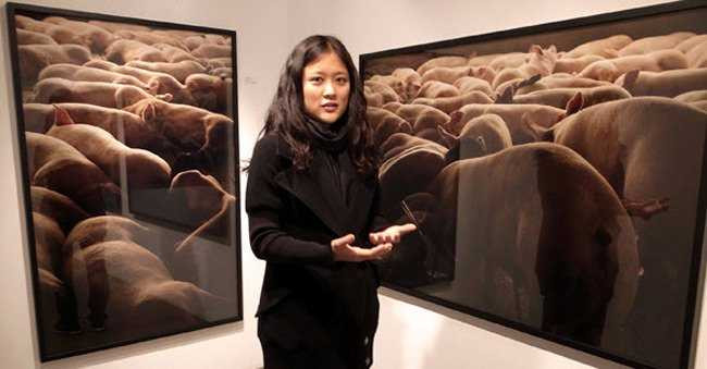 Nữ nhiếp ảnh gia khỏa thân ròng rã 104 tiếng chụp ảnh cùng cả đàn heo