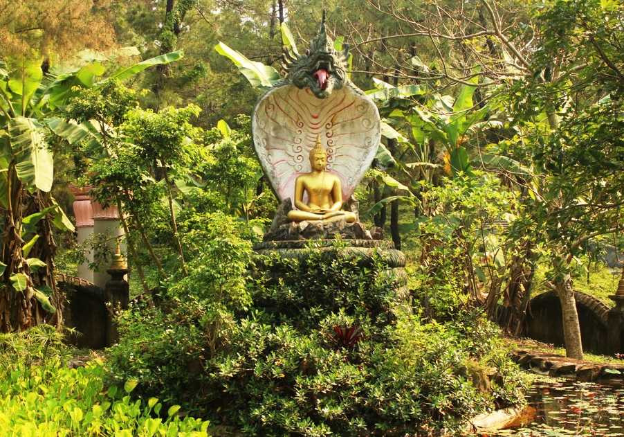 Cum kiến trúc mô tả hình ảnh tượng Xà Vương bảo vệ Đức Phật đặc trưng của phật giáo Nam Tông.