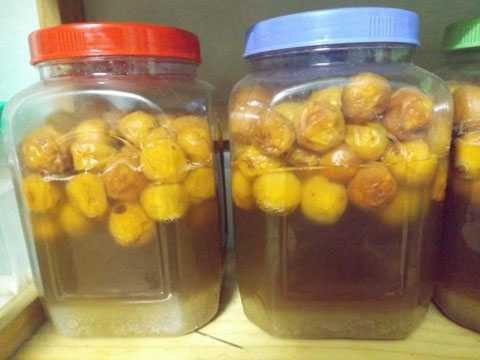 Ung thư đến từ chai lọ đựng đồ uống