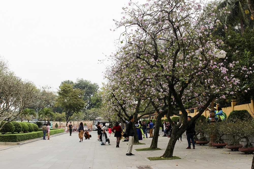 Ảnh: Giới trẻ Hà thành đắm mình cùng sắc ban Tây Bắc