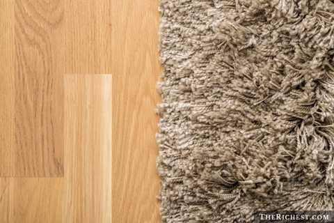 Thảm chùi chân. Thảm chùi chân là nơi những đôi giầy bẩn thỉu nhất giẫm qua và một loạt bụi bẩn được giữ lại. Bên cạnh đó, khi để không thì thảm chùi chân lại là đồ vật đầu tiên đặt ngoài cửa một căn phòng/ căn hộ và sẽ là nơi hút nhiều bụi bẩn nhất 