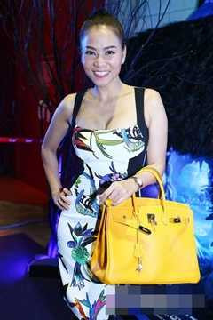 Cũng chuộng dòng túi Hermes, Thu Minh sở hữu chiếc Hermes Birkin trị giá 400 triệu đồng. 