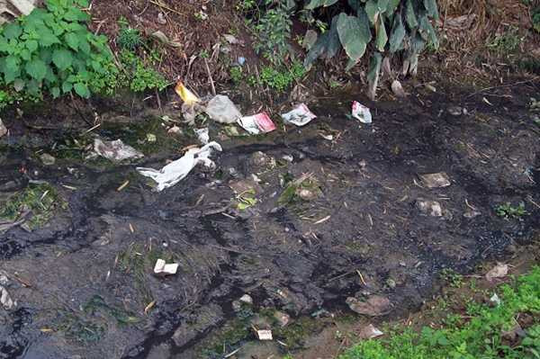 Không thể nghĩ rằng, rãnh nước đầy phân thế này vẫn có thể rửa sạch rau.