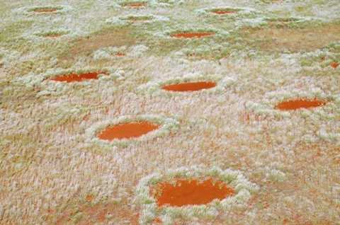 nguyên nhân là các hình tròn xuất hiện thông qua cơ chế tự phát để tự đảm bảo nguồn nước.