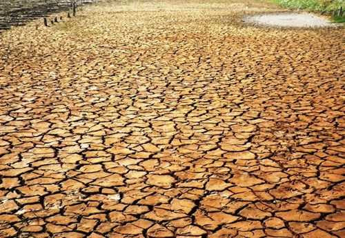 Hạn, mặn khốc liệt nhất lịch sử Việt Nam: Chuyên gia cảnh báo diễn biến nguy hiểm