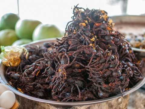 Nhện Tarantula chiên. Mặc dù ở Mỹ, người ta thực sự sợ hãi trước những chú nhện tarantula nhưng khi đến với Campuchia, người dân lại cho rằng đây là một món ăn bổ dưỡng. Nhện Tarantula chiên thậm chí còn được bán rộng rãi tại các hàng rong trên đường phố