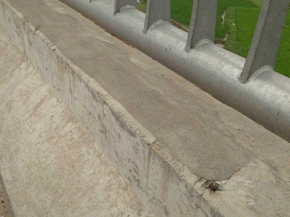 Sau tết, một số chỗ nứt đã được phủ một lớp mặt bằng xi măng để che những vết nứt bên trong.