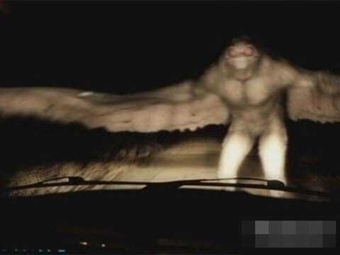 Quái vật người bướm khiến nhiều người tại Virginia khiếp đảm Quái vật người bướm khiến nhiều người tại Virginia khiếp đảm