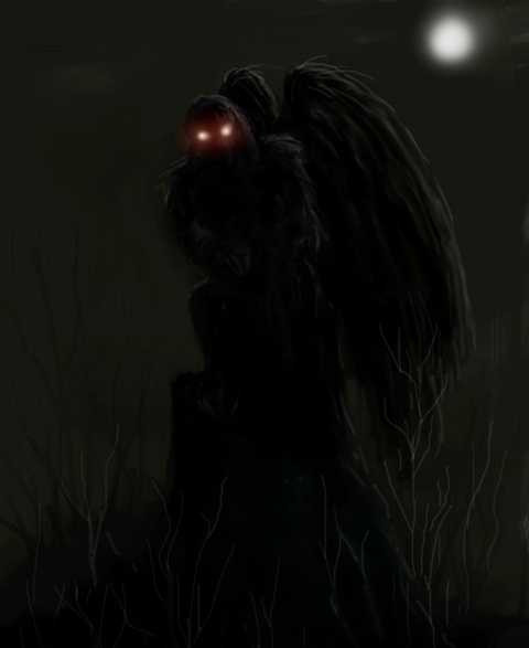 Người cú xuất hiện khiến nhiều người sợ hãi, hốt hoảng Người cú xuất hiện khiến nhiều người sợ hãi, hốt hoảng