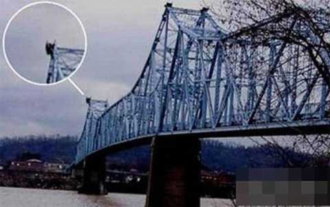 Đã có nhiều truyền thuyết được thêu dệt và cũng có nhiều giả thuyết về người bướm thực sự là sinh vật gì Đã có nhiều truyền thuyết được thêu dệt và cũng có nhiều giả thuyết về người bướm thực sự là sinh vật gì