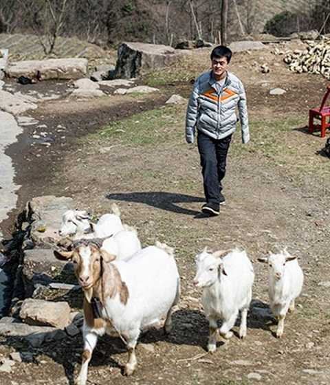 Không những vậy, anh còn gây dựng và điều hành một công việc kinh doanh có lợi nhuận cao.