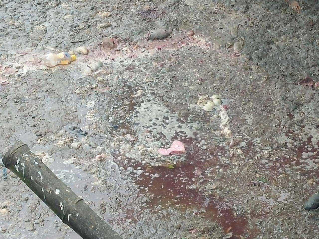 Thậm chí cả nội tạng (lòng, phổi) cũng bị tống ra hố lộ thiên rồi phân hủy, bốc mùi.