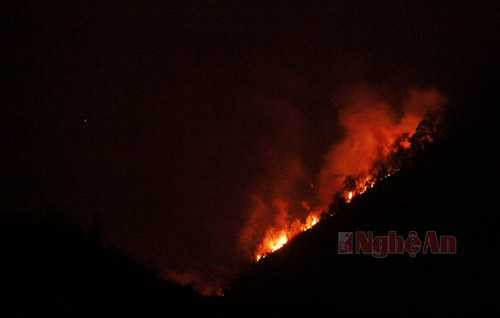 Hình ảnh một cánh rừng cháy rực ở Na Ngoi- Kỳ Sơn trong đêm 19/3