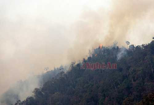 Một điểm cháy trên khu vực núi cheo leo, khó tiếp cận