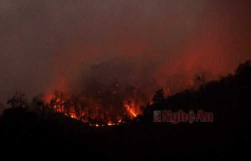 Hiện ngọn lửa đã tách thành 3 nhánh đi theo hướng Tây Bắc sang Đông Nam, cách trung tâm UBND xã Na Ngoi gần 10 Km.