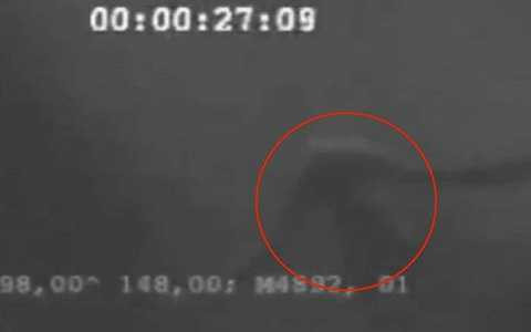 Con vật có hình hài giống người đang nổi trên mặt nước. Con vật có hình hài giống người đang nổi trên mặt nước.