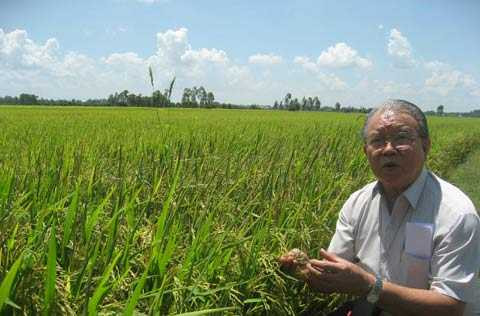 GS Võ Tòng Xuân - Nguồn ảnh: Internet