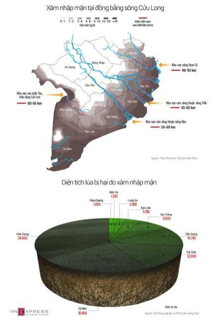 Nguồn ảnh: Vnexpress