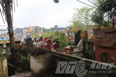 Một góc nghĩa trang thôn Trai Trang, nơi con trăn thường xuất hiện