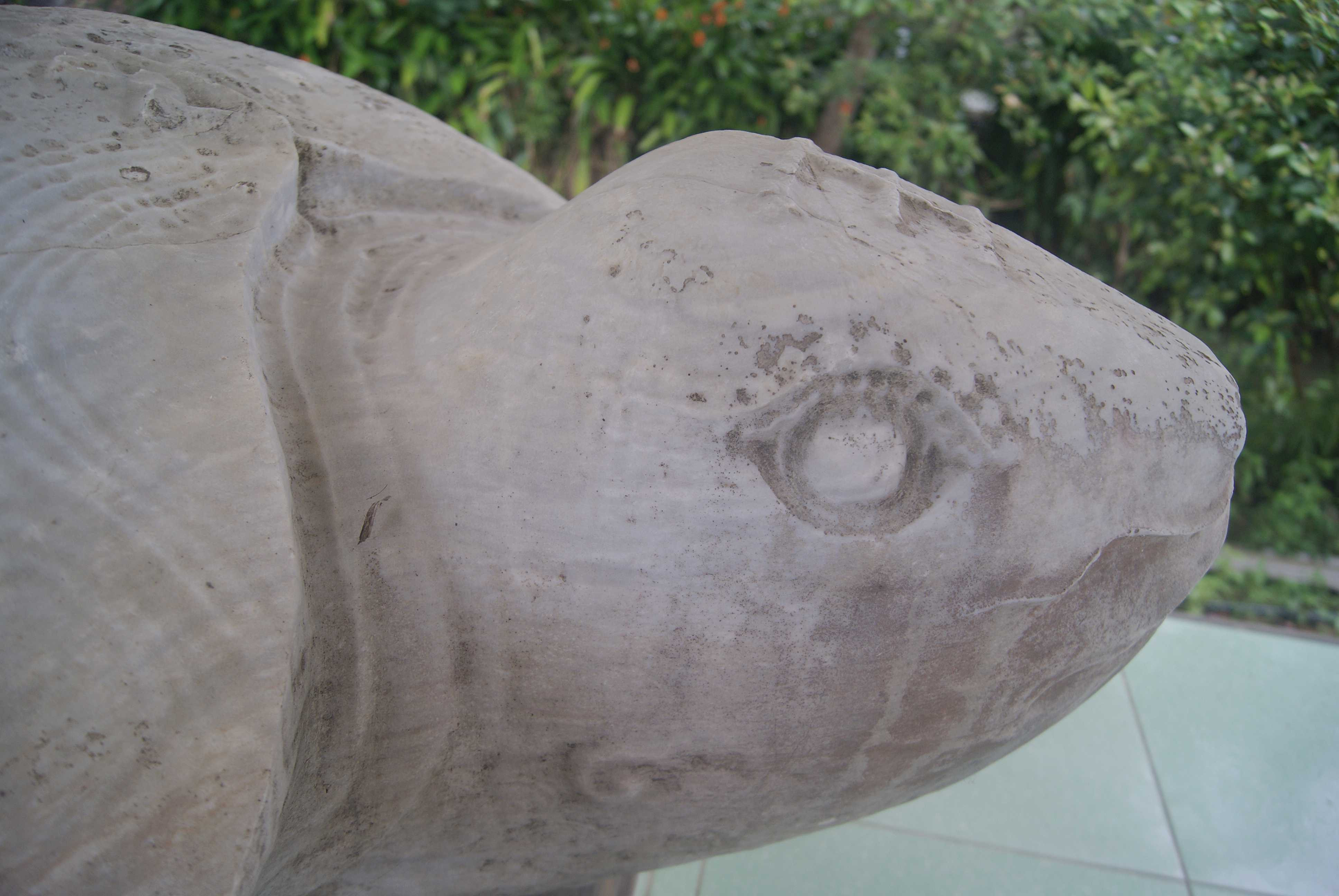 Ly kỳ chuyện rùa đá được phong vương ở xóm Rùa