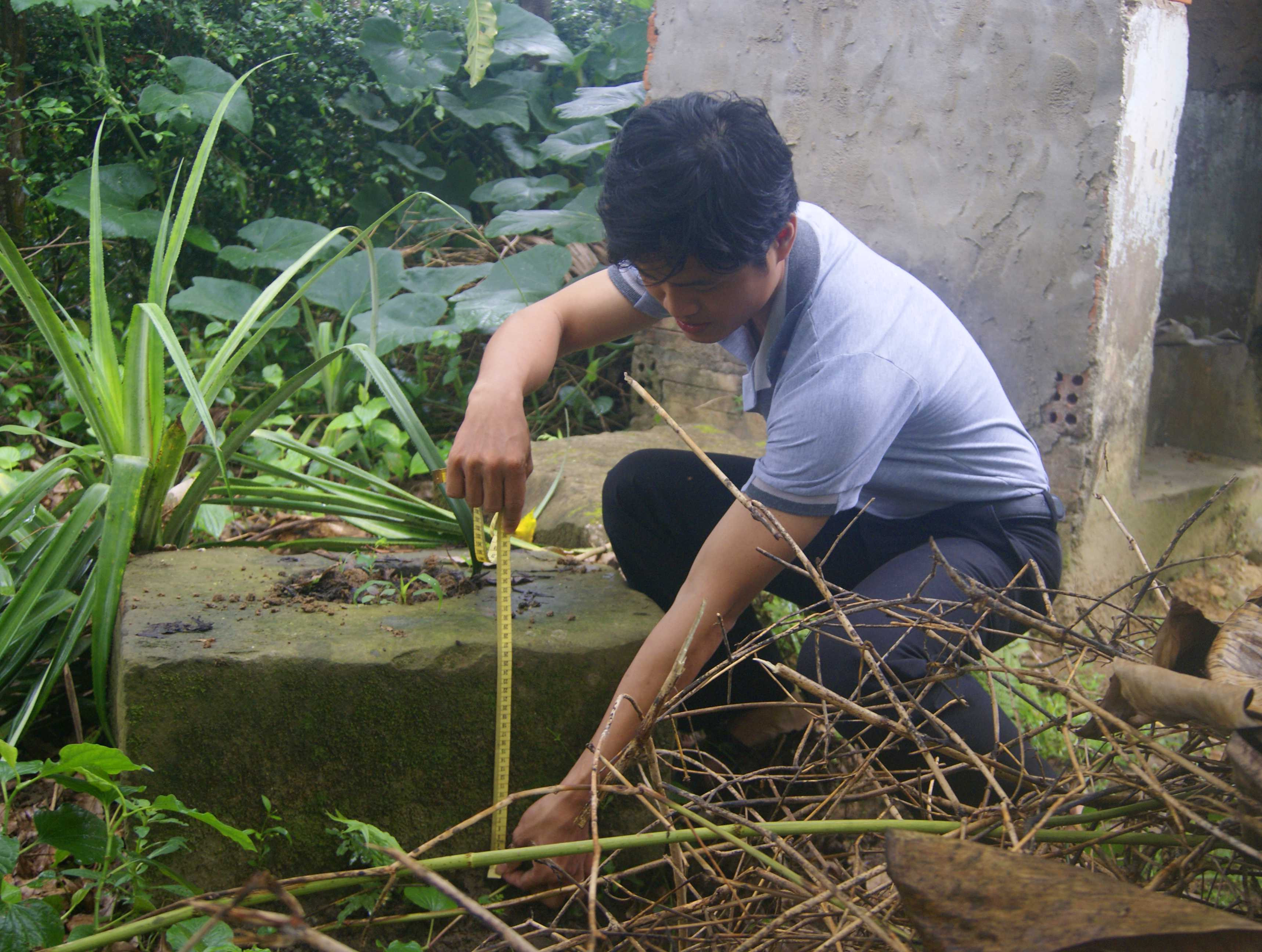 Chân cột trụ đá được phát hiện gần ngài rùa.