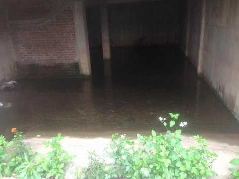 Nước mưa trữ trong những ngôi biệt thự đầy ruồi muỗi Nước mưa trữ trong những ngôi biệt thự đầy ruồi muỗi