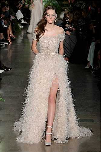 Tuy nhiên, không ít người cho rằng, đây chỉ là một thiết kế nhái một mẫu đầm trong bộ sưu tập của Elie Saab.