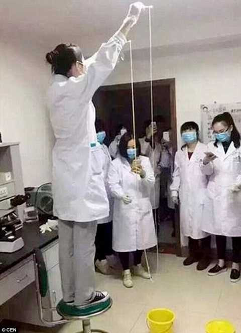 Kí sinh trùng dài đến 5m đang cư ngụ trong bụng Kí sinh trùng dài đến 5m đang cư ngụ trong bụng