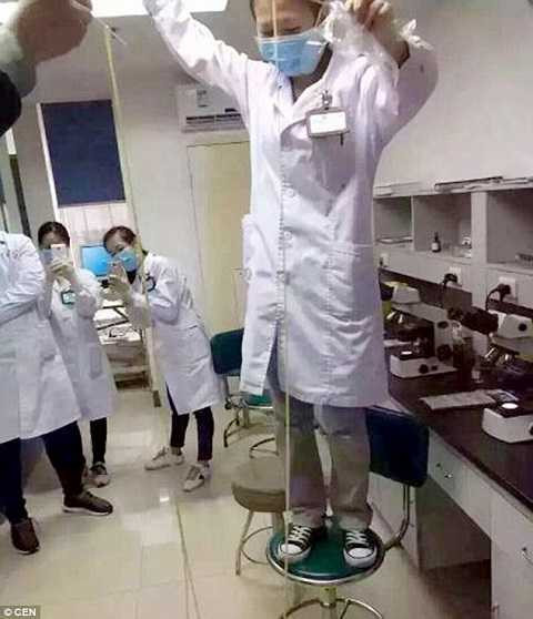 Bác sĩ đã phải đứng lên ghế để thân sán không chạm đến sàn nhà Bác sĩ đã phải đứng lên ghế để thân sán không chạm đến sàn nhà