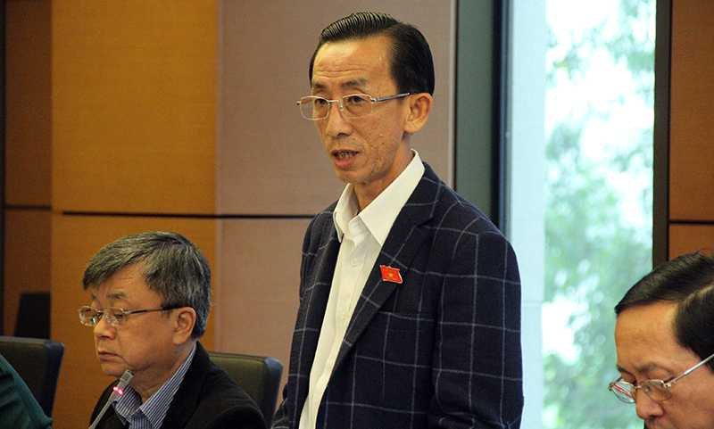 Đại biểu Trần Hoàng Ngân (Ảnh: Phạm Thịnh)