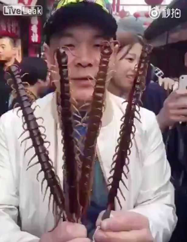 Cận cảnh những con tít có kích thước cực khủng khiến không ít người phải sợ đến phát khóc.