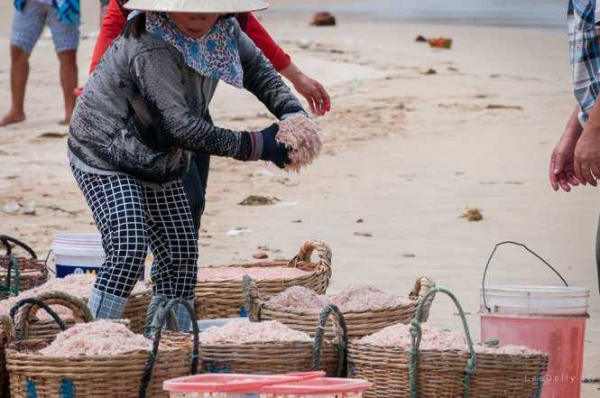 Hình ảnh nhuộm đỏ con ruốc ngay tại bãi biển gây 'bão' mạng