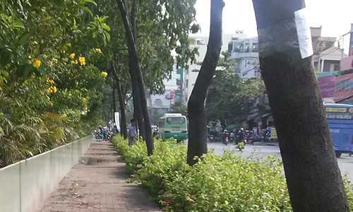 Người đàn ông quay mặt thẳng ra đường Đinh Bộ Lĩnh tiểu tiện không một chút ái ngại