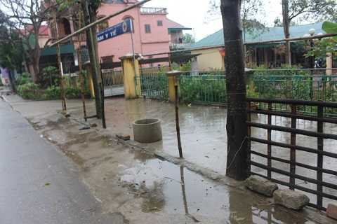 Những cọc tre gia đình ông Sửu chôn trước trạm y tế xã Những cọc tre gia đình ông Sửu chôn trước trạm y tế xã