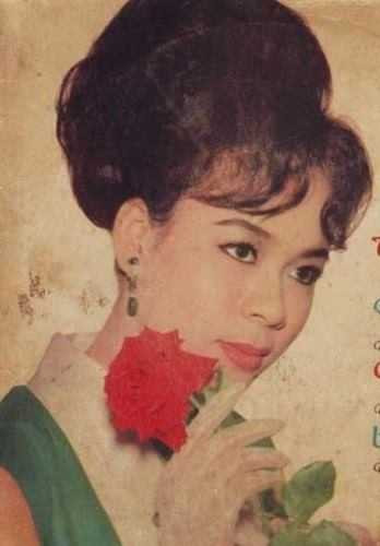 Nhan sắc những mỹ nhân đình đám: Thẩm Thúy Hằng, Thanh Nga, Kiều Chinh