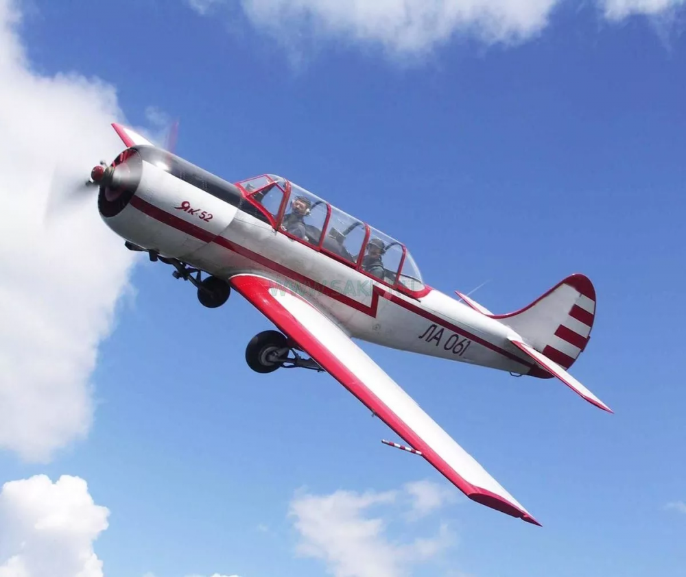 62482128_503615763711607_7084505686683418624_n 3