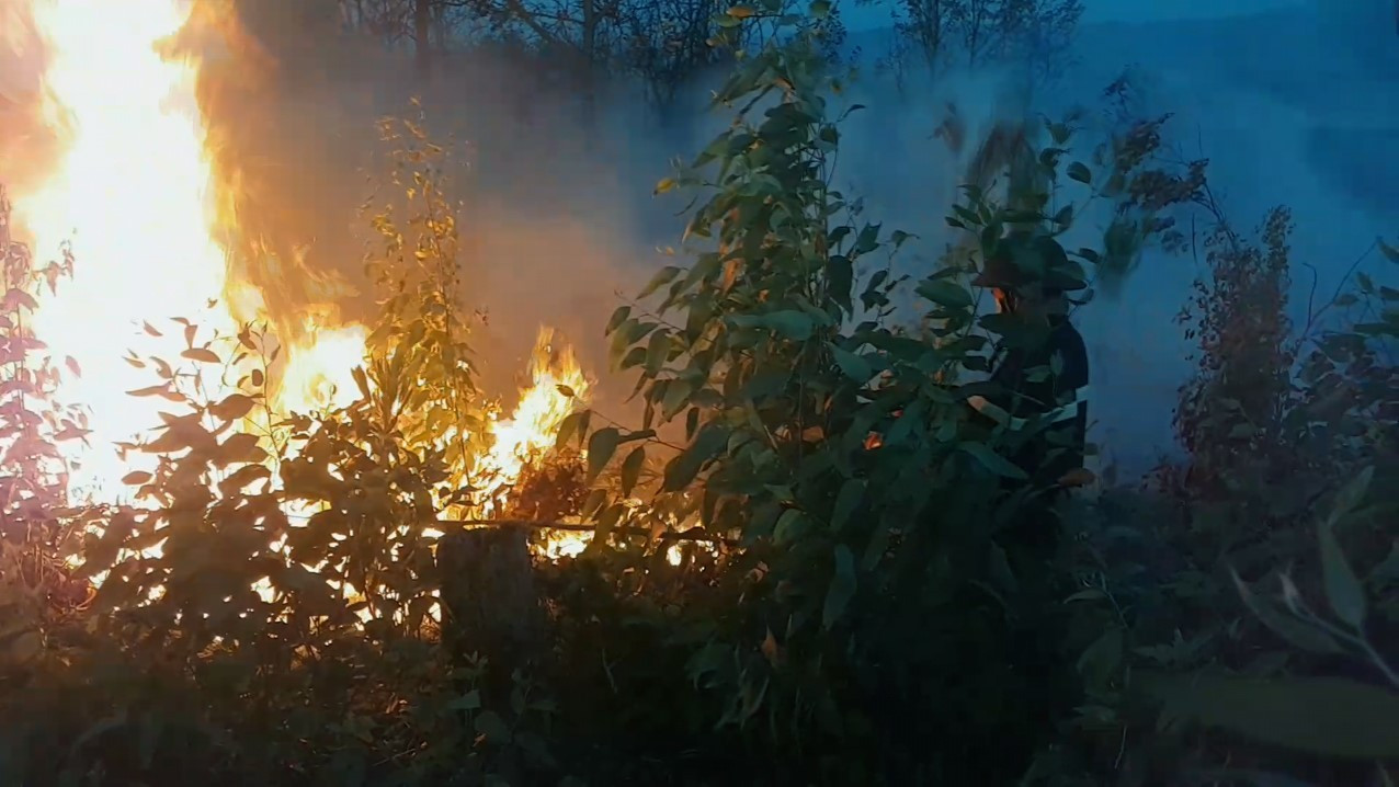 Rừng keo ở Phú Yên cháy dữ dội, hơn 500 người nỗ lực dập lửa