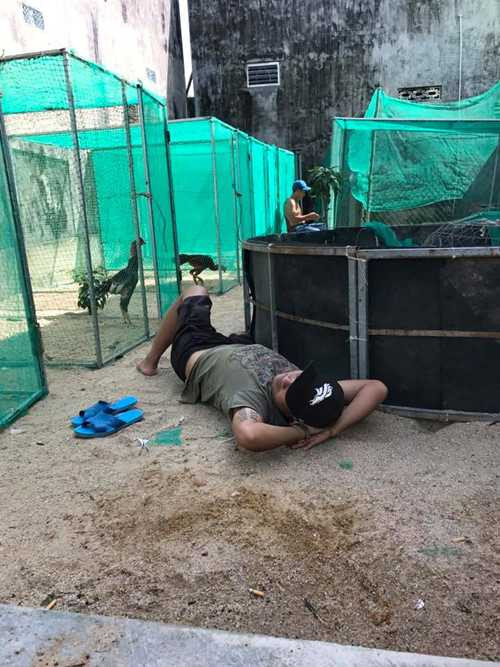 15727064_604887503034685_3688170990898177012_n1_hbhq