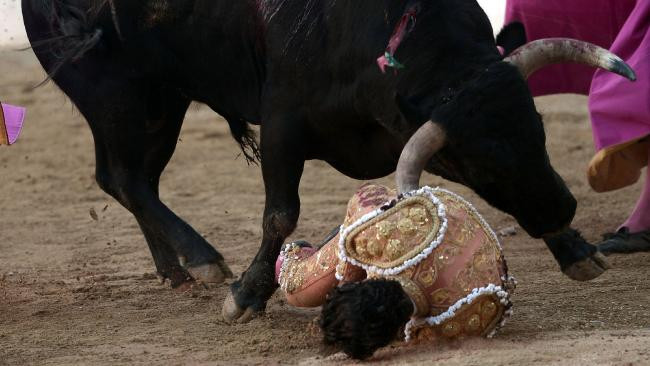 20e1a5ee65a975734d3d9862904e3b34