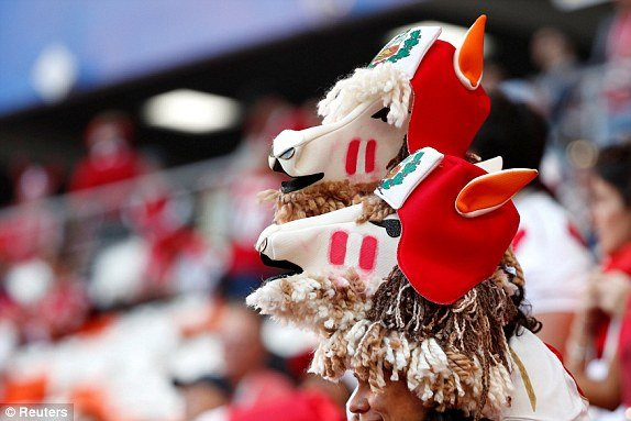 1529161986963_lc_galleryImage_Soccer_Football_World_Cup 4