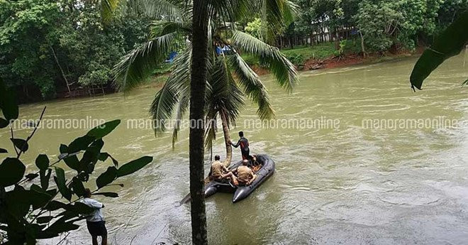 argentinafanmissingjpgimage784410