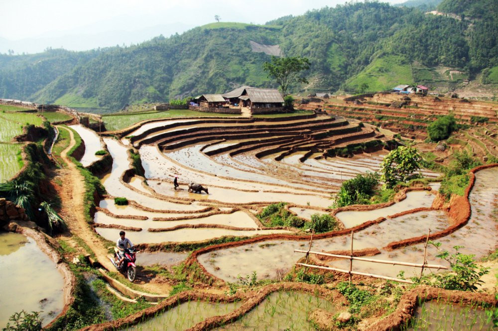 vtc news - ky quan san (01) 3