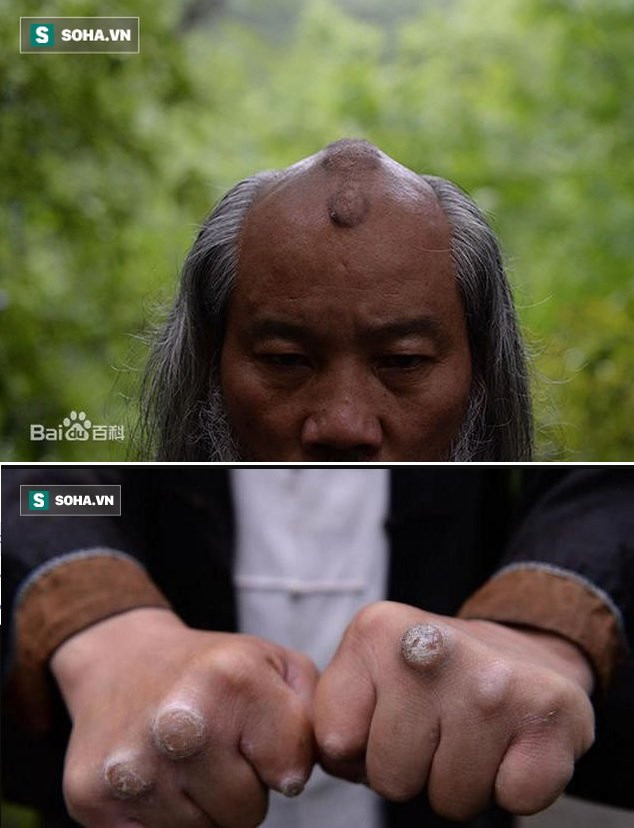 ha dao quan tu hieu dong vo dang